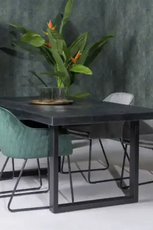 Actieprijs Livingfurn Kala 200 cm