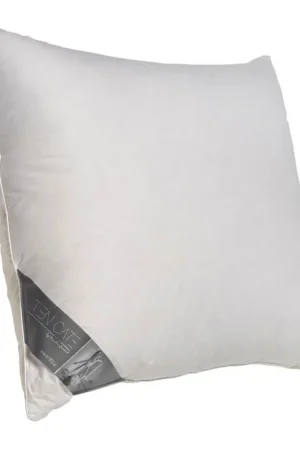 Flitsaanbieding Ten Cate Double Face Eendendonzen Hoofdkussen 60x70 cm
