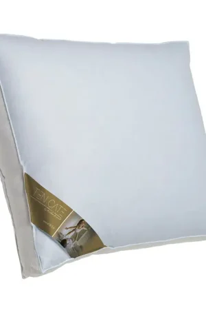 Origineel Ten Cate 3-Kamer Ganzendonzen Boxkussen 60x70 cm