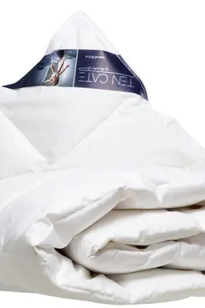 Alleen Vandaag Ten Cate Dekbed - Zomerdekbed - 90% Eendendons - Dekbed 260x220 cm
